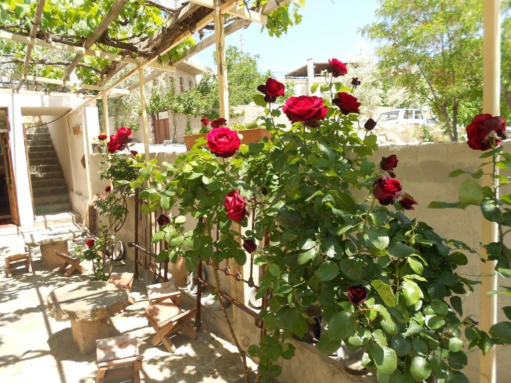 Valleypark Hotel Nevşehir Exterior photo